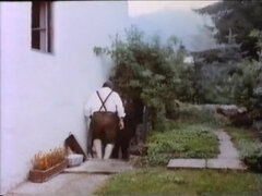Grote mammen, Blond, Pijpbeurt, Bruinharig, Harig, Masturbatie, Oud