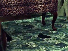 Chica, Sexo duro, Tetas