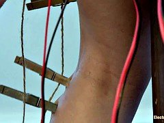Bdsm, Bondage, Pornstars, Toys