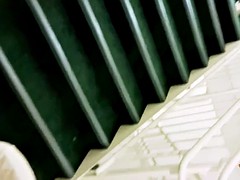 Leie, Grosser schwanz, Schwarz, Blasen, Schwarz, Öffentlich, Ablutschen, Spanner