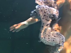 Красотки, Бассейн, На публике, Русские, Душ, Молоденькие, Сиськи, Под водой