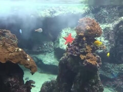 Morena, Coche, Fetiche, Penetracion con dedos, Fetiche de pies, Orinar, Pov, Fumando