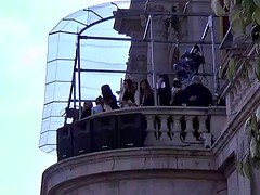 Polla, Público, Español, Chupando