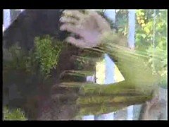 Tetas grandes, Celebridad, Compilación, Italiano