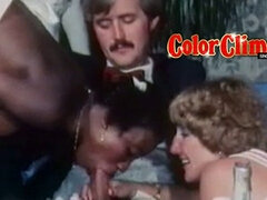 フェラチオ, 黒人, 女 人男 人, ドイツ人, Hd, なめる, オマンコ, レトロ