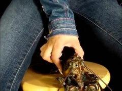 Culo, Clásico, Garganta profunda, Polla, Hembra, Pezones, Orgasmo, Solo