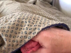 Enthousiasteling, Anaal, Grote kont, Pijpbeurt, Sperma in gezicht, Gezichtspunt, Roodharige vrouw, Student