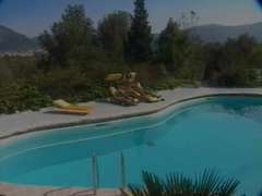 Interracial, Estrella porno