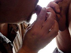 Enthousiasteling, Grote lul