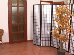 Lieveling, Erotisch, Fetisj, Handbeurt, Hardcore, Man man vrouw, Pissen, Tieten likken