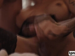 Transsexuals nailing assholes bareback