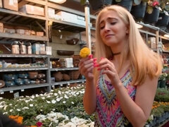 Любители, Блондинки, Минет, Собачьи, Мастурбация, Киски, Игрушки, Вибратор