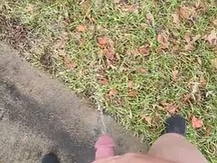At a rest area on the highway