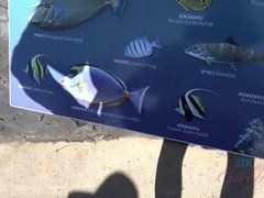 Enthousiasteling, Strand, Bruinharig, Vingeren, Buiten, Openbaar, Roken, Tieten likken