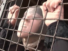 Lieveling, Sperma shot, Fetisj, Hardcore, Likken, Ondergoed, Kut duiken, Zuigen