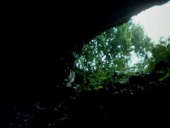 Жопа, Блондинки, Минет, Секс без цензуры, Хд, Милф, Киски, Винтаж