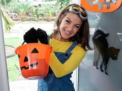 Kont, Lul, Hondjeshouding, Fetisj, Handbeurt, Hardcore, Tatoeage, Tieten likken