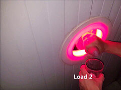 Leie, Besamung, Schwanzloch, Einschiebung