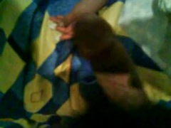 Любители, Секс без цензуры, Мексиканки, Втроем