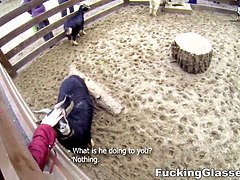 アナル, フェラチオ, 共学, 指いじり, Hd, 馬乗り, 剃毛, ティーン
