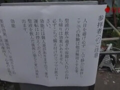 美人, 巨乳な, イマラチオ, 女, 日本人, オナニー, アウトドア, 一人