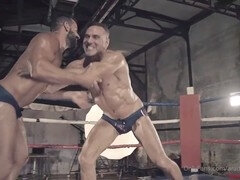 Anal, Verga grande, Corridas, Polla, Gay