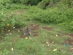 Rubia, Abierta, Bragas, Piscina, Afeitado, Estriptis, Tatuaje, Tetas