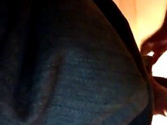Leie, Schwanz, Interrassisch, Ablutschen