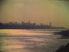 Hembra, Peludo, Estrella porno, Clasico