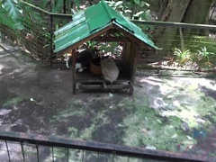 Эксгибиционист, Подружка, На природе, От первого лица, Киски, Курящие, Сиськи, Влажная