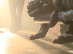 緊縛, ボンデージ, 顔面騎乗, フェムドム, 指いじり, 陵辱, お仕置き, 奴隷