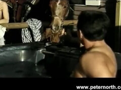 Asiatique, Blonde, Brunette brune, Européenne, Masturbation, Rasée, Plan cul à trois, Rétro ancien