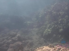 Leie, Strand, Bikini, Flashen, Küssen, Nackt, Pov, Muschi