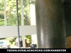 Big cock, Brunette, Hairy, Interracial, Pussy, Teen, Tits