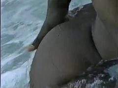 素人, 黒人, フェラチオ, 黒人, なめる, ヴィンテージ