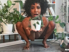 Cul, Noir ébène, Doigter, Poilue, Branlette thaïlandaise, Adolescente, Jouets, Webcam
