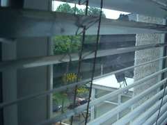 Любители, Милф, Стринги