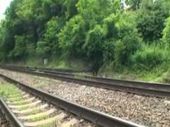 Tir de sperme, De plein air, Public