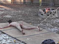 Schwul, Milf, Spielzeuge