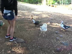 Amateur, Playa, Tetas grandes, Rubia, Mamada, Novia, Afeitado, Tatuaje