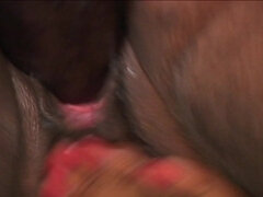 Culo, Negro, Ébano, Gorda, Coño, Tetas, Mojado, Puta