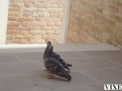 CAsss, Cutiepies amp  Coitus - Vika Lita  s VIXEN Reunion