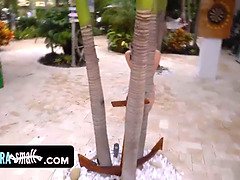 Bikini, Sucer une bite, Preservatif, Souple, Hard, Piscine, Pov, Rasée