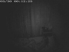 Spying via hidden cam for a midnight doggy fuck