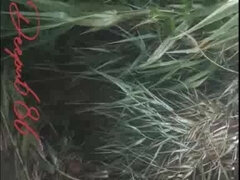 Morena, Pareja, Polla, Sexo duro, Hd, Indio