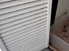 美女, デカパイ, 巨乳な