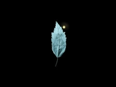 Arsch, Blasen, Braunhaarige, Süss, Fetisch, Hd, Natürlich, Schwanger