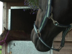 ぽっちゃり, デカ尻, ブロンド, イく瞬間, フェティッシュ, 巨大, 淫乱熟女, オーガズム