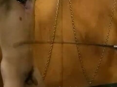 緊縛, ボンデージ, 服従, 女, フェムドム, フェティッシュ, ハードコア, ヴィンテージ