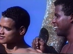 Caribbean cockfighting